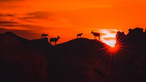 Preview wallpaper mountains, sunset, animals, silhouettes, dark