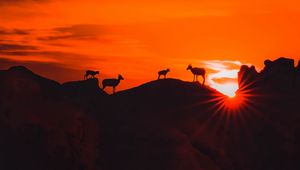 Preview wallpaper mountains, sunset, animals, silhouettes, dark