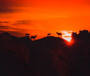 Preview wallpaper mountains, sunset, animals, silhouettes, dark