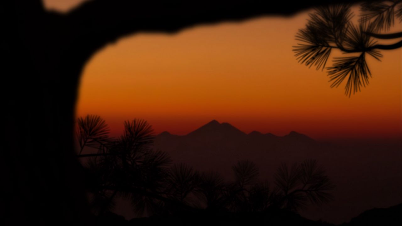 Wallpaper mountains, sunset, branch, silhouette