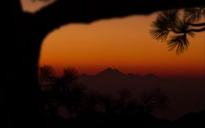 Preview wallpaper mountains, sunset, branch, silhouette