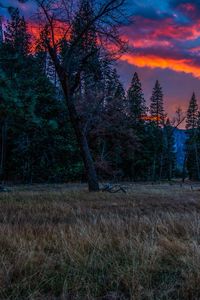 Preview wallpaper mountains, sunset, evening, grass, trees