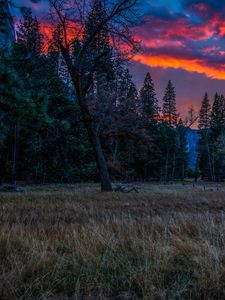 Preview wallpaper mountains, sunset, evening, grass, trees