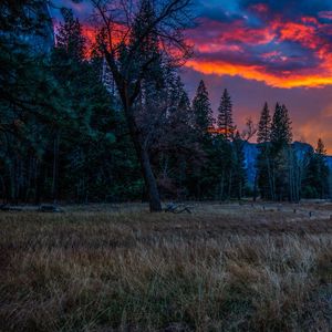 Preview wallpaper mountains, sunset, evening, grass, trees