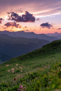 Preview wallpaper mountains, sunset, landscape, slopes, grass, flowers