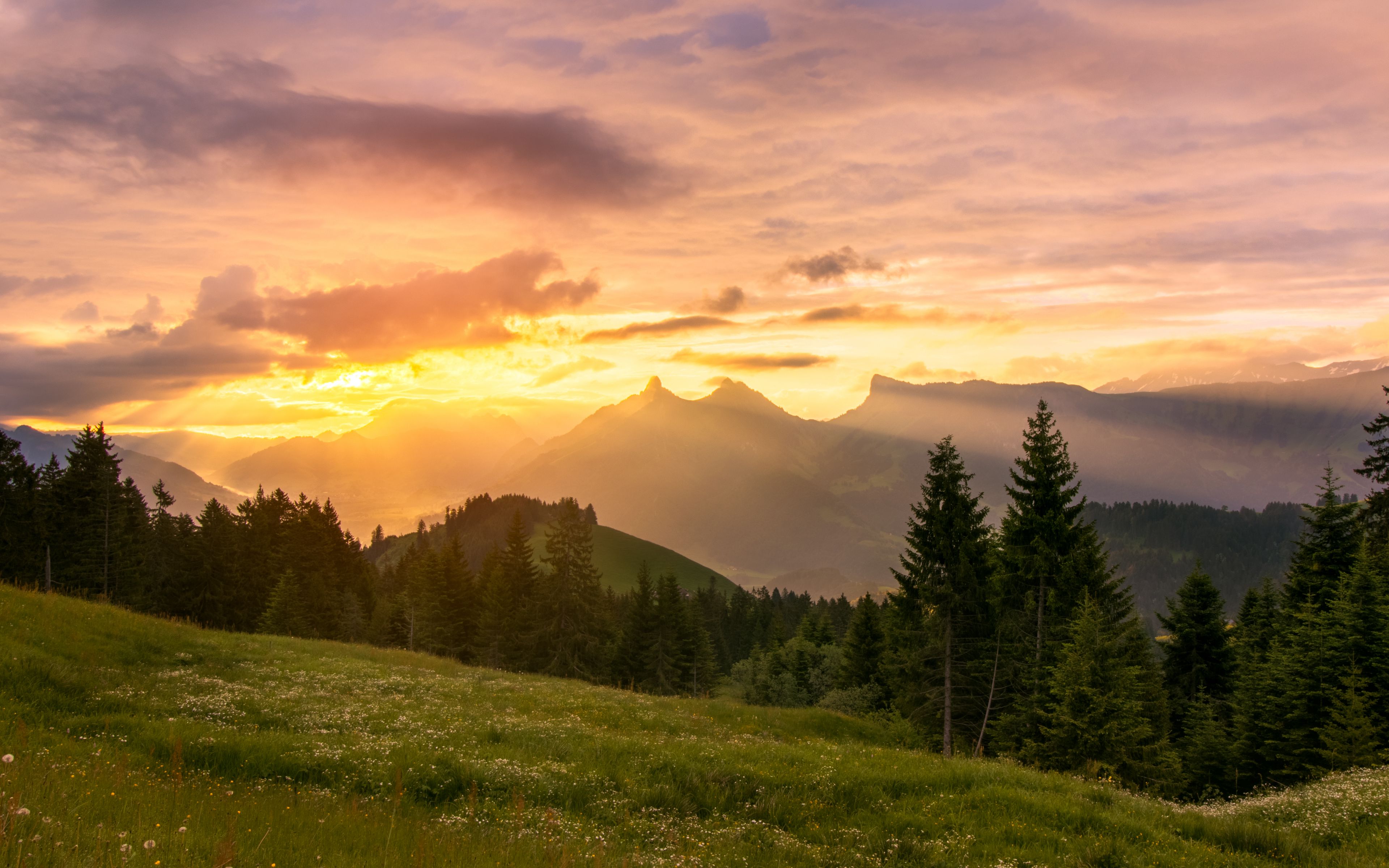 Download Wallpaper 3840x2400 Mountains Sunset Lawn Trees Landscape