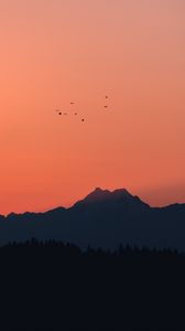 Preview wallpaper mountains, sunset, outlines, birds