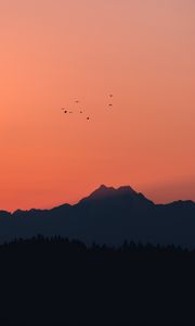 Preview wallpaper mountains, sunset, outlines, birds