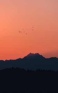 Preview wallpaper mountains, sunset, outlines, birds