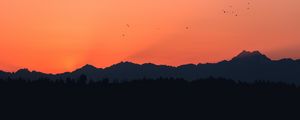 Preview wallpaper mountains, sunset, outlines, birds