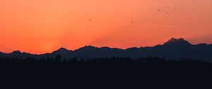 Preview wallpaper mountains, sunset, outlines, birds