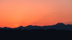 Preview wallpaper mountains, sunset, outlines, birds