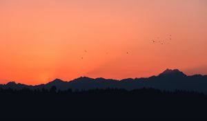Preview wallpaper mountains, sunset, outlines, birds