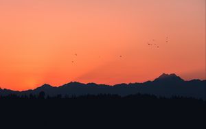 Preview wallpaper mountains, sunset, outlines, birds