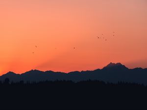 Preview wallpaper mountains, sunset, outlines, birds