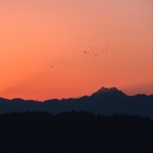 Preview wallpaper mountains, sunset, outlines, birds