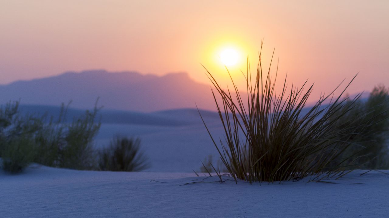 Wallpaper mountains, sunset, snow, bushes, landscape
