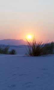Preview wallpaper mountains, sunset, snow, bushes, landscape