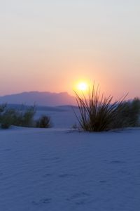 Preview wallpaper mountains, sunset, snow, bushes, landscape