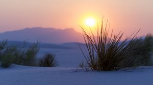 Preview wallpaper mountains, sunset, snow, bushes, landscape