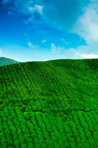 Preview wallpaper mountains, tea plantations, green, height