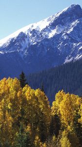 Preview wallpaper mountains, top, trees, autumn, yellow