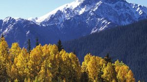 Preview wallpaper mountains, top, trees, autumn, yellow