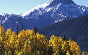 Preview wallpaper mountains, top, trees, autumn, yellow