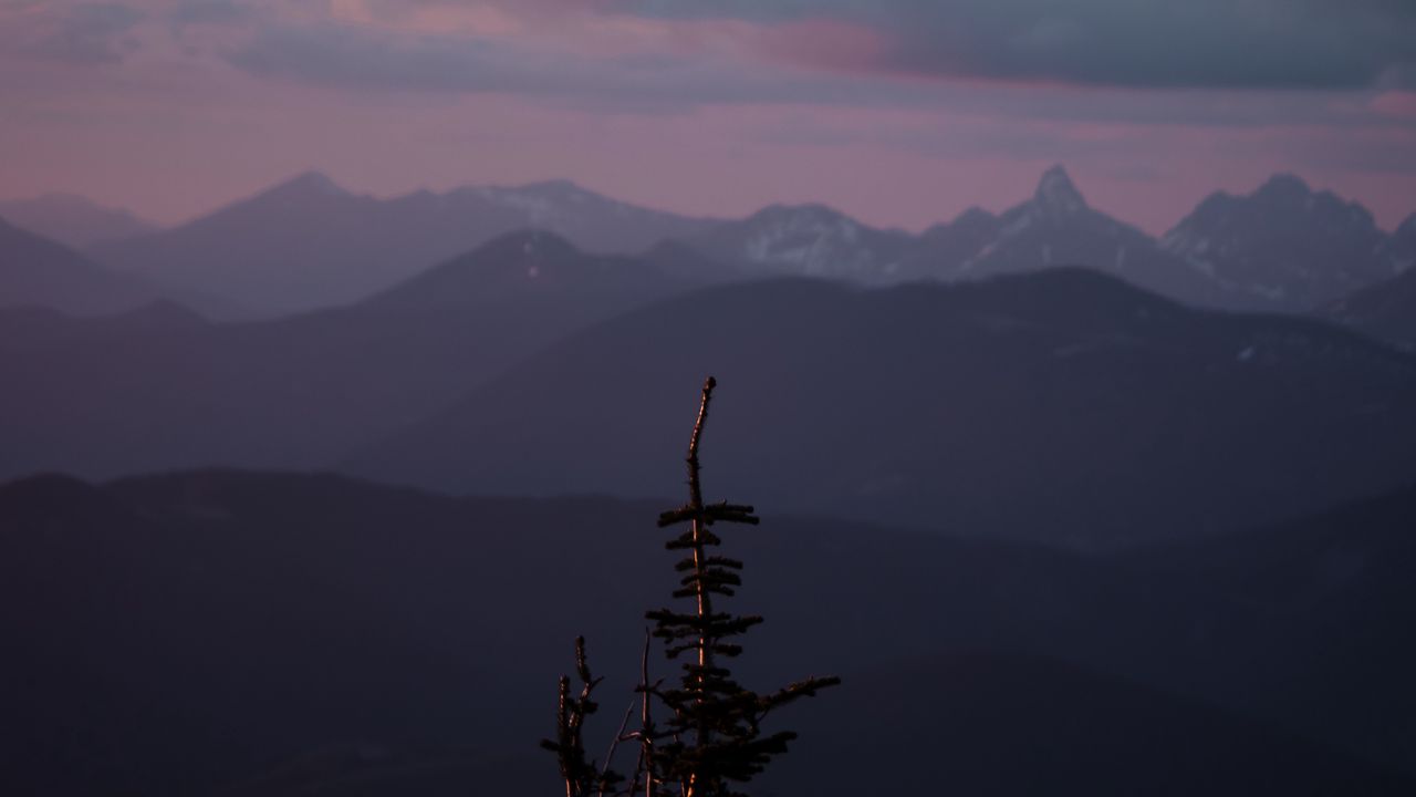 Wallpaper mountains, tree, fog, landscape, height