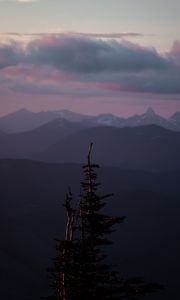 Preview wallpaper mountains, tree, fog, landscape, height