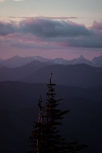 Preview wallpaper mountains, tree, fog, landscape, height