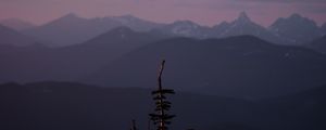 Preview wallpaper mountains, tree, fog, landscape, height