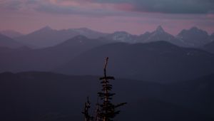 Preview wallpaper mountains, tree, fog, landscape, height