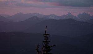Preview wallpaper mountains, tree, fog, landscape, height