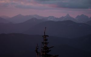 Preview wallpaper mountains, tree, fog, landscape, height