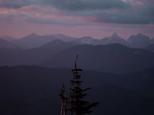 Preview wallpaper mountains, tree, fog, landscape, height