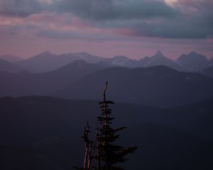 Preview wallpaper mountains, tree, fog, landscape, height