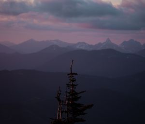 Preview wallpaper mountains, tree, fog, landscape, height