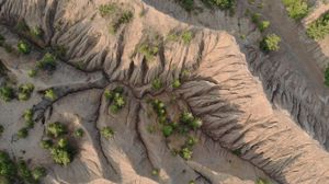 Preview wallpaper mountains, trees, aerial view, relief