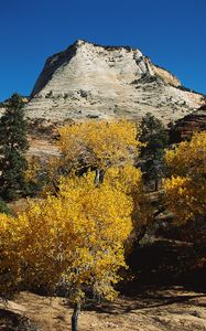 Preview wallpaper mountains, trees, autumn, dwarfish, vegetation, coniferous