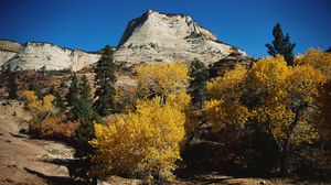 Preview wallpaper mountains, trees, autumn, dwarfish, vegetation, coniferous