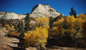 Preview wallpaper mountains, trees, autumn, dwarfish, vegetation, coniferous