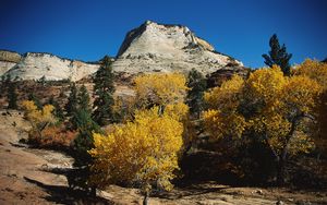 Preview wallpaper mountains, trees, autumn, dwarfish, vegetation, coniferous