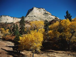 Preview wallpaper mountains, trees, autumn, dwarfish, vegetation, coniferous