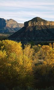 Preview wallpaper mountains, trees, autumn, vegetation, evening, shade