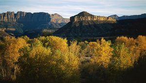 Preview wallpaper mountains, trees, autumn, vegetation, evening, shade