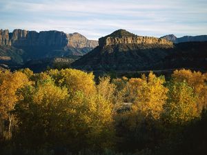 Preview wallpaper mountains, trees, autumn, vegetation, evening, shade