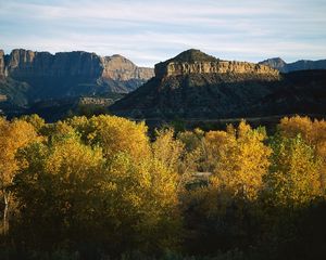 Preview wallpaper mountains, trees, autumn, vegetation, evening, shade