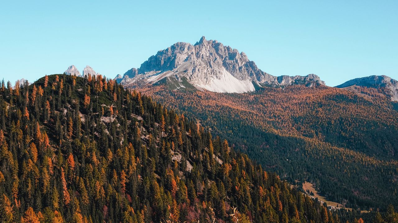 Wallpaper mountains, trees, autumn