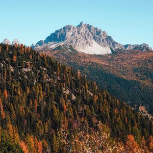 Preview wallpaper mountains, trees, autumn